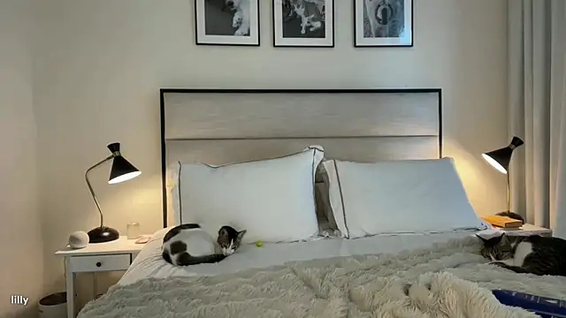 Snapshot of Itslillybloom chatting on November 2025 04:23:02 AM Itslillybloom online show from November 2025 04:23:02 AM