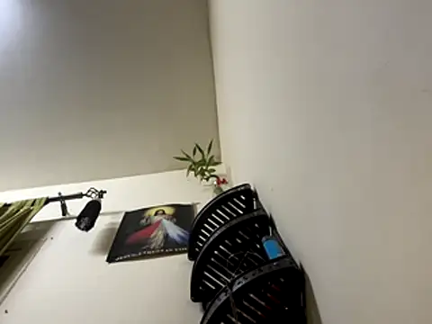 jishnu878 online show from November 2025 03:45:01 PM