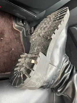 Sinicoco online show from February 2026 04:19:02 AM