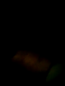 Yerackhip online show from March 2026 12:47:02 AM