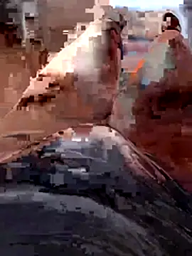 Snapshot of Vanja33 chatting on November 2025 03:35:01 PM Vanja33 online show from November 2025 03:35:01 PM