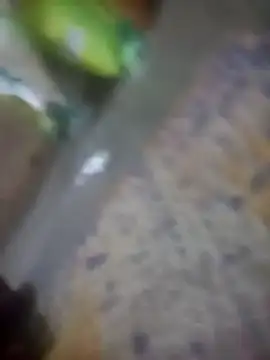 Jooli cuty online show from November 2025 07:47:02 PM