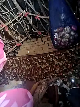 Jooli cuty online show from February 2026 04:13:02 AM