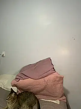 lele inocente online show from March 2026 12:16:01 AM