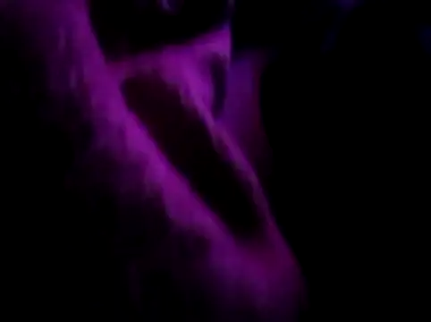 akram306 online show from November 2025 11:24:01 PM