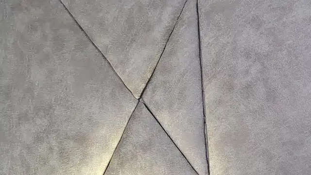 LannyShell online show from December 2025 05:08:02 PM