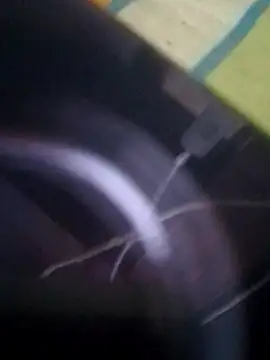 crazy boy55 online show from December 2025 06:15:01 PM