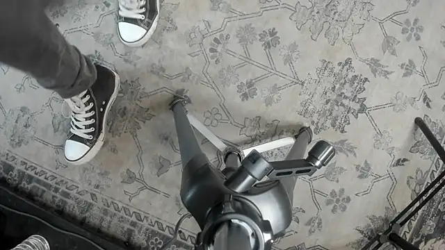 AliceMadnes online show from February 2026 02:43:02 PM