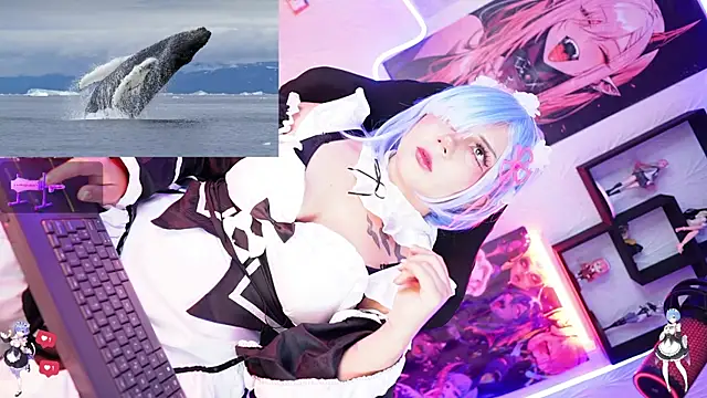 Snapshot of Noha-- chatting on November 2025 12:55:01 PM Noha-- online show from November 2025 12:55:01 PM