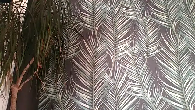 Snapshot of CuteDaddy92 chatting on December 2025 02:24:01 PM CuteDaddy92 online show from December 2025 02:24:01 PM