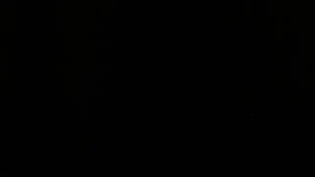 shark boy28 online show from November 2025 02:56:02 AM