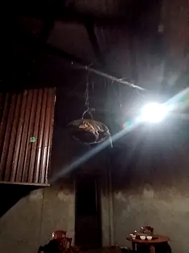 Snapshot of blonde_blg chatting on February 2026 10:38:02 PM blonde blg online show from February 2026 10:38:02 PM