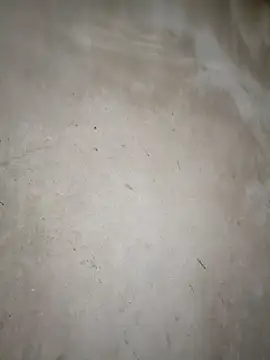 Snapshot of blonde_blg chatting on March 2026 11:32:01 PM blonde blg online show from March 2026 11:32:01 PM