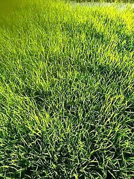 Snapshot of blonde_blg chatting on April 2026 10:09:02 AM blonde blg online show from April 2026 10:09:02 AM