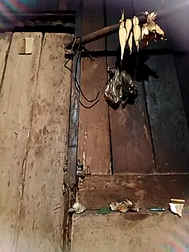 -Chua-90 online show from February 2026 10:53:01 PM