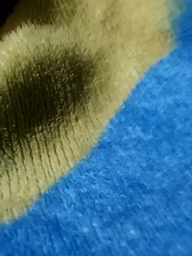 Snapshot of GG23MVP chatting on November 2025 05:22:02 AM GG23MVP online show from November 2025 05:22:02 AM