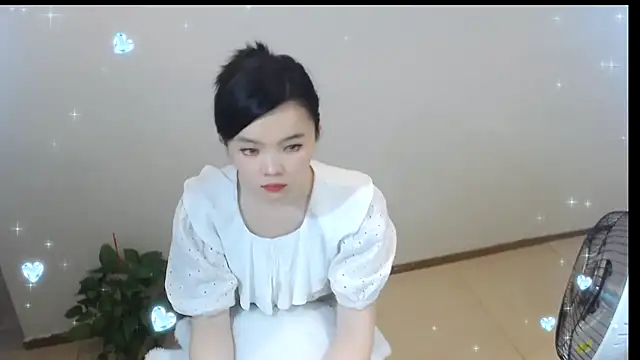 Shaurk online show from February 2026 06:13:01 AM