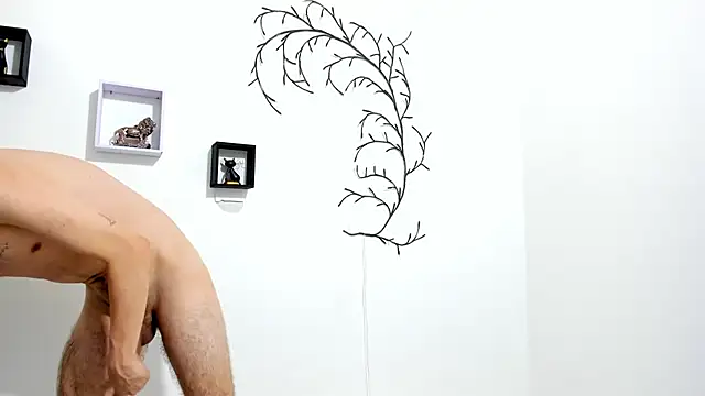 TerryGrace online show from February 2026 09:46:02 PM