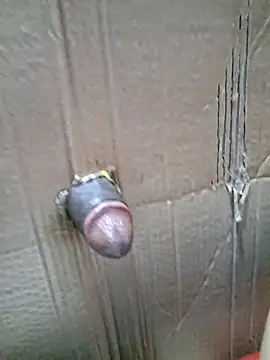 mnbvcxzqwertyuiop1235 online show from March 2026 11:52:02 PM