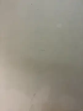 bigass256 online show from February 2026 05:04:01 AM