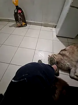 Snapshot of RITAEGIH chatting on March 2026 08:04:02 PM RITAEGIH online show from March 2026 08:04:02 PM