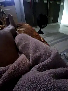 krett65 online show from December 2025 01:03:02 AM