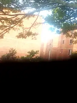 Snapshot of Jeison0323 chatting on January 2026 08:43:02 PM Jeison0323 online show from January 2026 08:43:02 PM