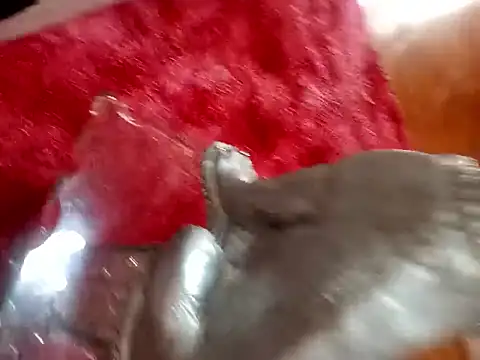 Snapshot of Jeison0323 chatting on February 2026 08:25:02 PM Jeison0323 online show from February 2026 08:25:02 PM