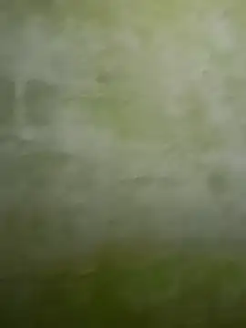 Uplk online show from November 2025 11:49:01 AM