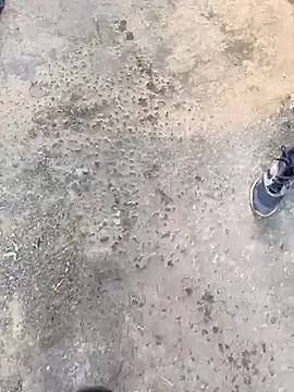 Playboy pune  online show from November 2025 10:04:02 AM