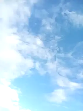 juunioreest online show from January 2026 10:47:02 PM