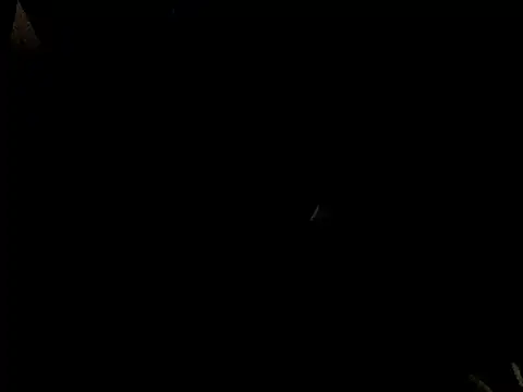 Savannah Cock online show from February 2026 01:03:01 AM