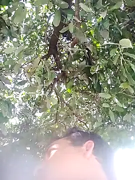 nori dunda online show from December 2025 06:47:02 PM