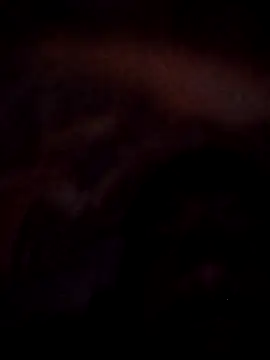 Roy   121 online show from November 2025 09:03:02 PM