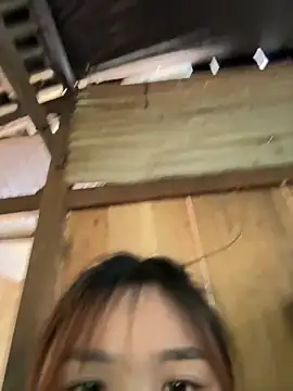 Spring-spring online show from November 2025 05:40:02 AM