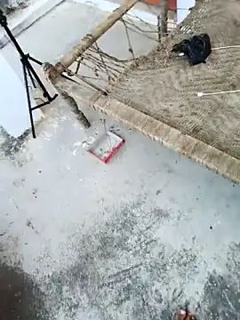 Snapshot of apka_rockstarr chatting on November 2025 09:11:01 AM apka rockstarr online show from November 2025 09:11:01 AM