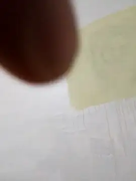 paoandjoe1010 online show from November 2025 11:42:01 AM