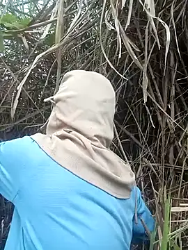 nangmo online show from March 2026 12:50:01 AM