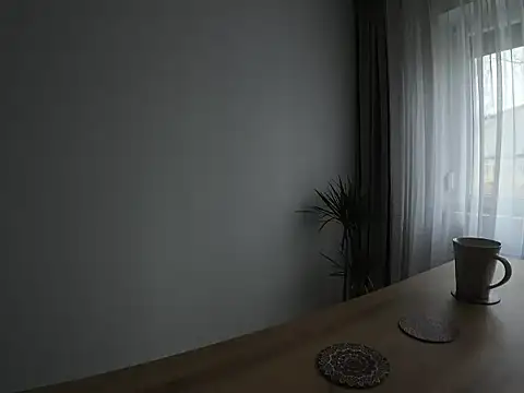 ScottBarlow online show from November 2025 11:21:02 AM