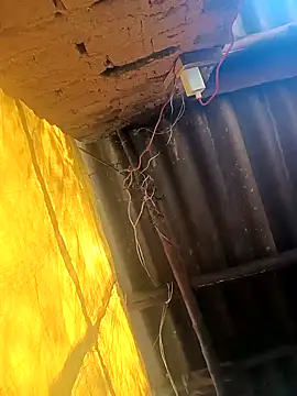 Babita Gori online show from December 2025 05:58:02 AM