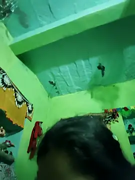 Punam panjabi online show from February 2026 06:32:02 AM