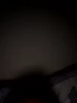 PartiedOmelet online show from January 2026 02:03:01 AM