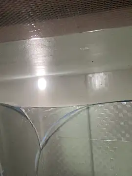 Snapshot of muti99 chatting on February 2026 12:52:01 PM muti99 online show from February 2026 12:52:01 PM