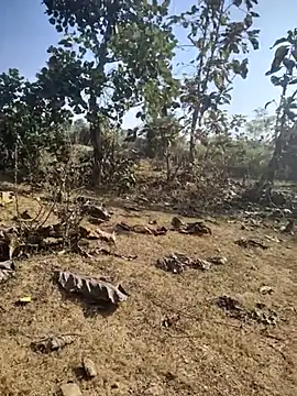 88zaifkhan88 online show from January 2026 04:48:02 AM