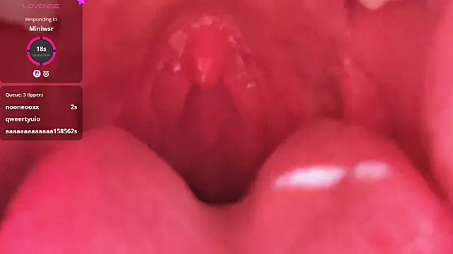 LT-333 online show from February 2026 05:23:02 PM