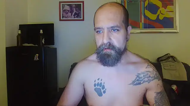 AMIRDIB2025 online show from June 2026 12:22:02 AM