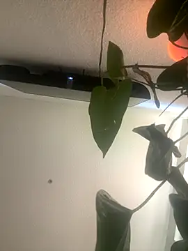 redheadangel 5 online show from November 2025 10:35:01 PM