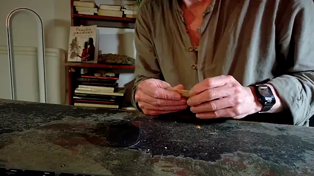 Snapshot of diogene11 chatting on November 2025 10:13:02 PM diogene11 online show from November 2025 10:13:02 PM