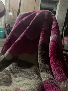 Snapshot of anh-soi123 chatting on March 2026 05:41:02 PM anh-soi123 online show from March 2026 05:41:02 PM