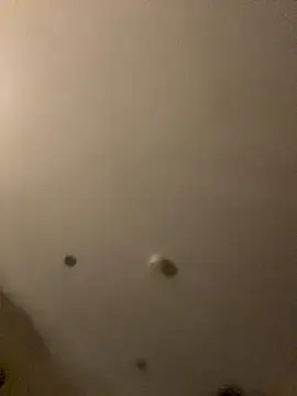 Gabriellabella13 online show from December 2025 03:20:01 PM